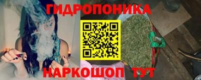 СК Коломна