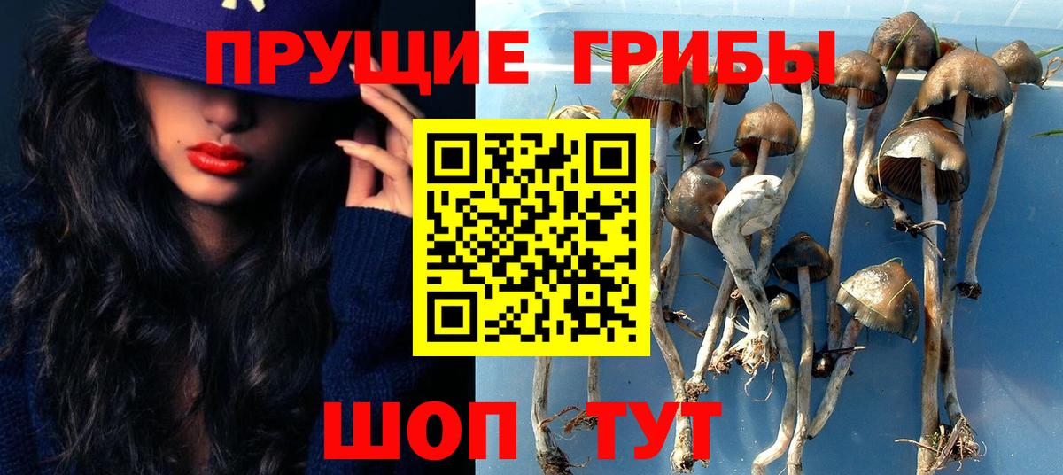 купить  сайты  Вход с VPN  Кириши  Псилоцибиновые грибы Magic Shrooms 