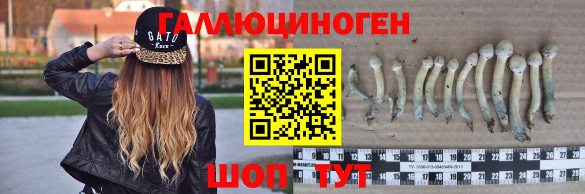 Галлюциногенные грибы мухоморы Кириши